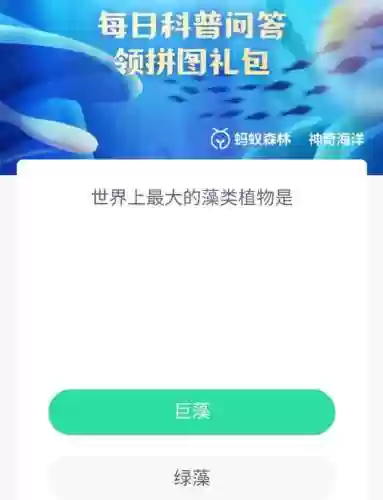 郑板桥蚂蚁庄园(蚂蚁庄园小课堂答案最新)插图4
