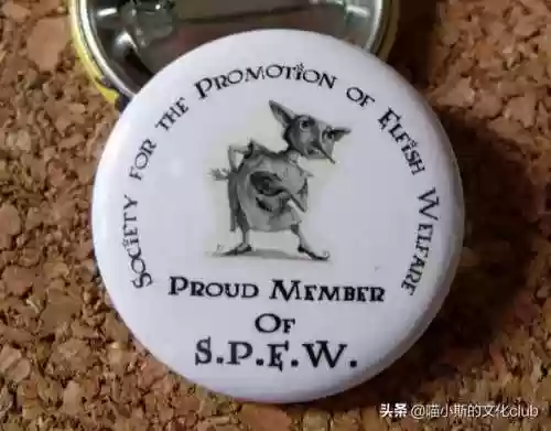 赫敏的初吻给了谁(赫敏跟谁在一起了)插图3