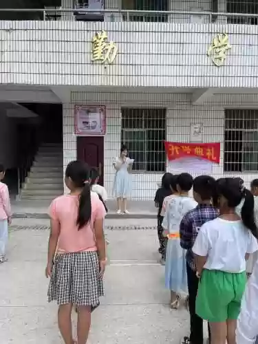 柏林小学阵容(柏林南路小学是重点吗)插图4