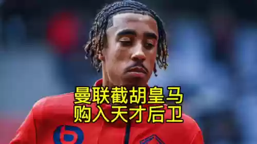 曼联2019阵容国籍选拔(利物浦阵容2019阵型图)