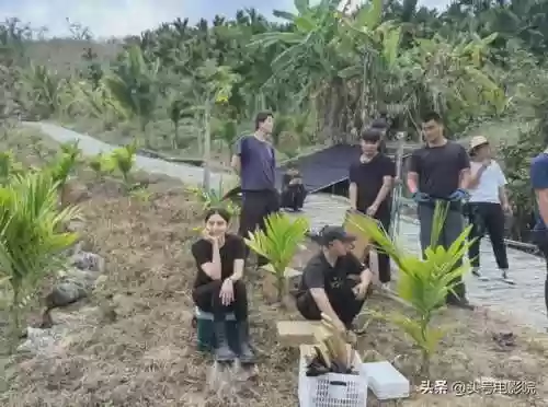 迷雾剧场阵容(迷雾剧场六部顺序)插图3