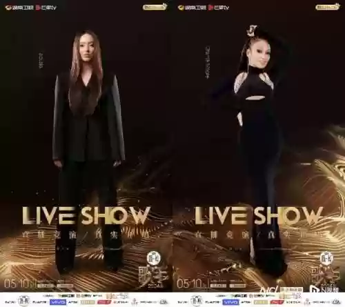 闪光点乐队阵容(石家庄有哪些乐队)插图2