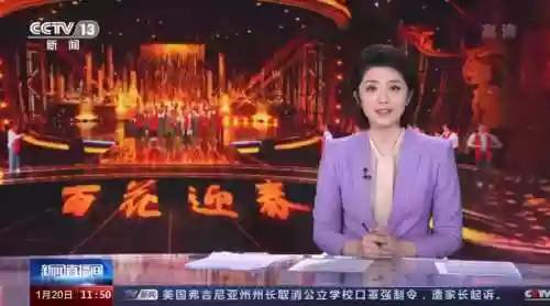 百花迎春晚会阵容赵雅芝(2016百花迎春文联晚会)