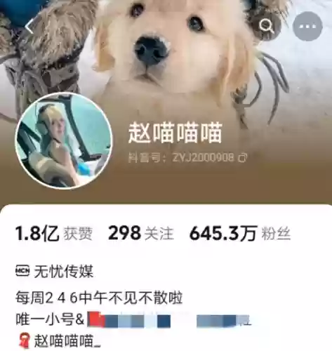 无忧传媒阵容(无忧传媒会培养新人吗)插图24
