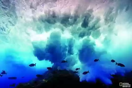 海洋世界图片(小学生海洋画作品图片)插图3