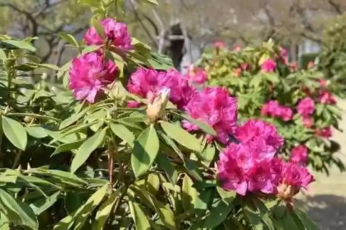 记得伤痛阵容(云顶之弈连败阵容)