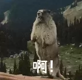 行尸走肉第季10季(行尸走肉第十季全集观看免费)插图24