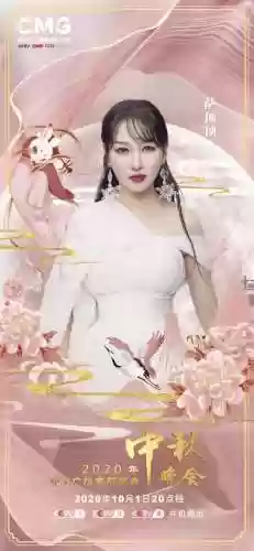 晚会阵容宣传(晚会形式亮点创意)插图13