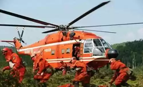 森林卫士阵容(全民僵尸大战警察阵容)