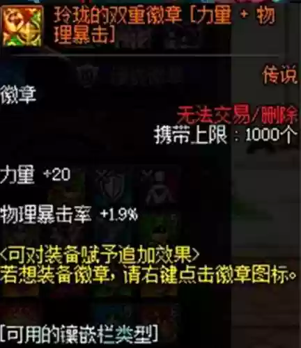 徽章怎么镶嵌在装备上(dnf白金徽章镶嵌哪里)插图8 徽章怎么镶嵌在装备上(dnf白金徽章镶嵌哪里)插图8