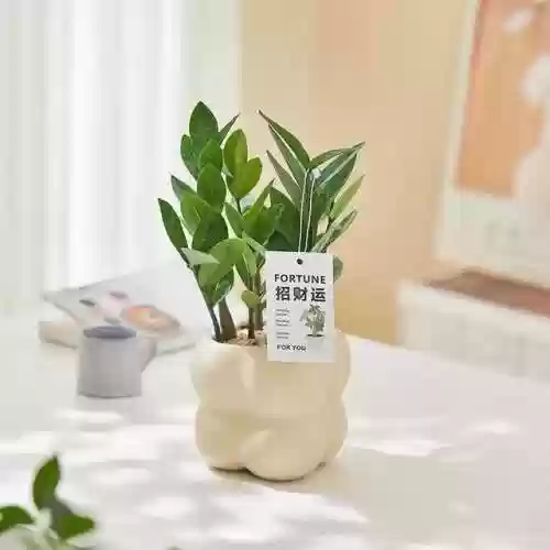植物大战僵尸聚宝盆阵容(植物大战僵尸最强阵容搭配图片)插图3