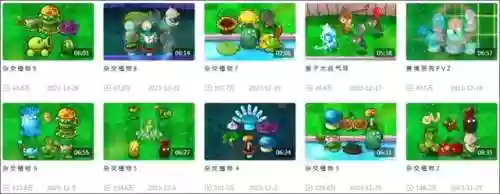 西罐子阵容(夏侯惇夏侯渊阵容搭配)插图12