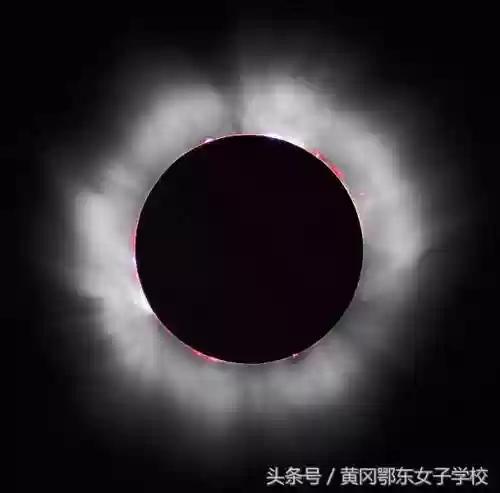 太阳阵容易(宝可梦t0阵容)插图3