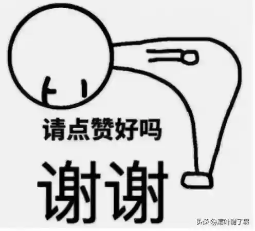 露露龟壳阵容(乌龟死了取龟壳图解)插图3