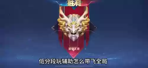 惩戒辅助怎么看阵容选择(辅助怎么玩才是正确的)