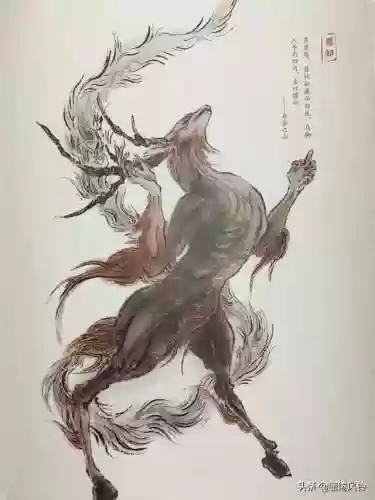 108只神兽大全(宝可梦98只神兽图片)插图101