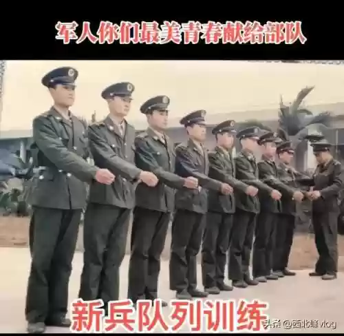白面兵阵容(最强白马义从阵容)插图10