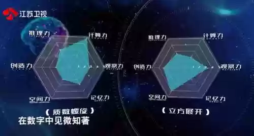 最强的大脑游戏(最强大脑1到10季的脑王)插图9