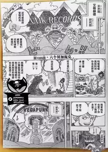海贼王900集国语版卡通站(海贼王角色介绍)插图1