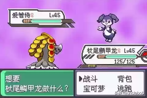 究极绿宝石战神阵容搭配(究极绿宝石3金手指大全)插图57