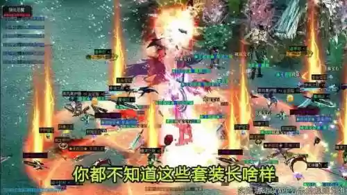木瓜奇迹战士怎么加点(木瓜奇迹召唤10000加点)插图4