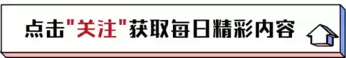阿诗玛阵容(南蛮骑的顶级阵容搭配)