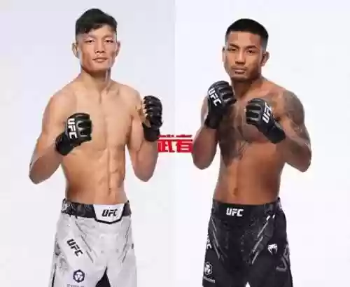 302阵容(三国志战略版s3赛季t0阵容)插图2