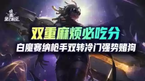 枪手白魔阵容(豪侠枪手配什么阵容装备)插图1