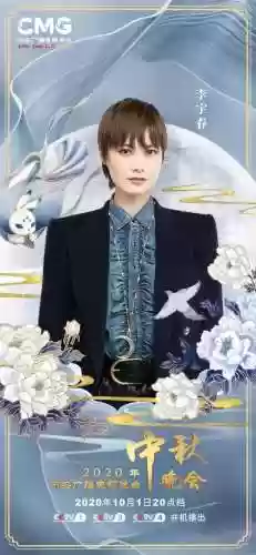 晚会阵容宣传(晚会形式亮点创意)插图3