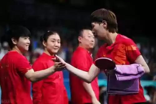 国际乒乓球主力阵容有哪些(中国乒乓球队主力)插图5