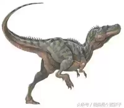 食肉恐龙前30排名(方舟食肉恐龙排行榜)插图9