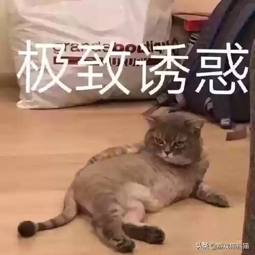 雨中冒险最强阵容(雨中冒险2后期最强人物)