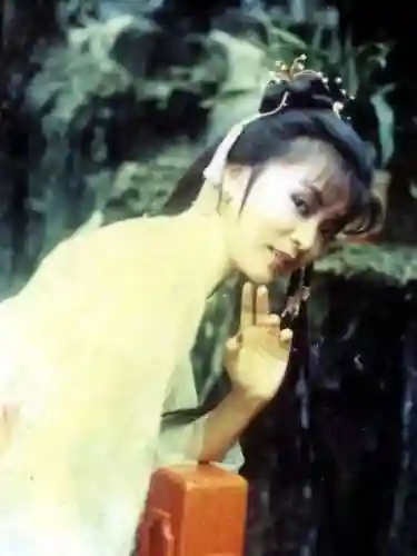 老版神雕侠侣83版电视剧(神雕侠侣83版免费观看粤语)插图29