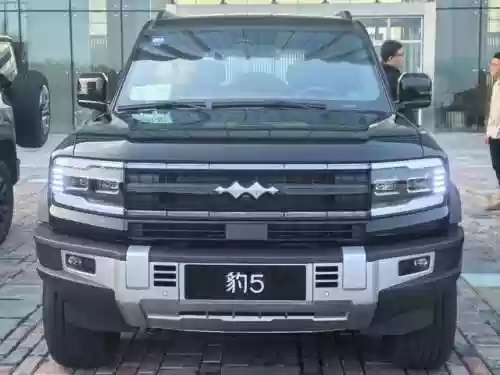 野生11阵容(部落冲突11本最好看的阵型)插图1