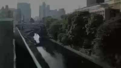 穿越1862(穿越1907工业强国)插图33