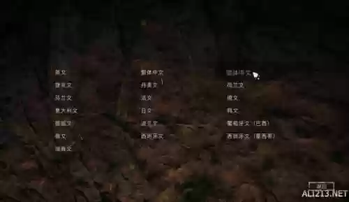 孤岛惊魂原始杀戮中文设置(原始杀戮改完还是英文)插图5