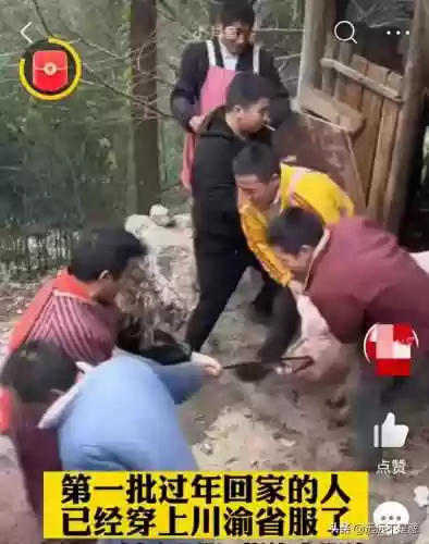 川渝最强阵容穿围腰(边境突围双排最好阵容)插图2