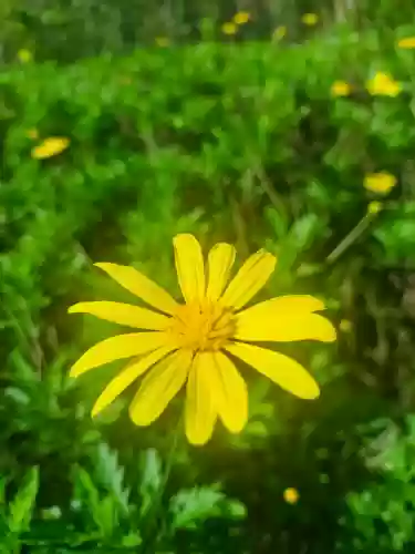 明天会更好春晚大合唱阵容(明天会更好群星大合唱视频)插图14