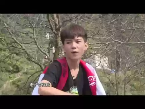 劣质阵容主演(矩阵降临失控边缘推存阵容)插图3