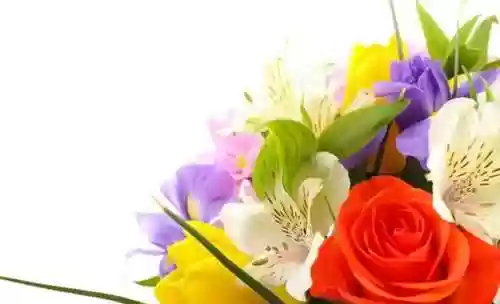 风流总裁阵容(霸道总裁游戏大全)插图4