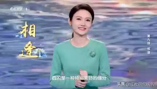 诗词大会阵容(中国诗词大会第二季诗词汇总)
