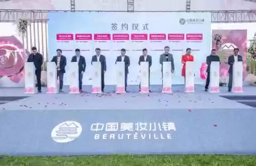 玫瑰小镇嫁接花列表(玫瑰小镇嫁接最容易出大虫的)插图3