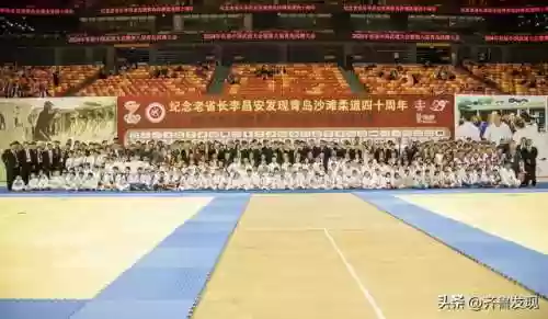 比武论道阵容(武道大会最佳进攻阵容)