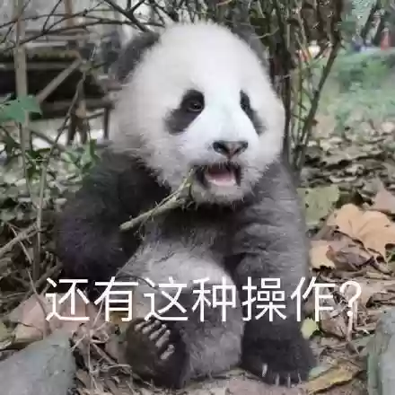 第一次遇到的奇葩阵容是谁(王者恶心的二人奇葩阵容)插图4