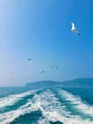 燃情启航阵容攻略(航海王启航平民最强阵容)插图11