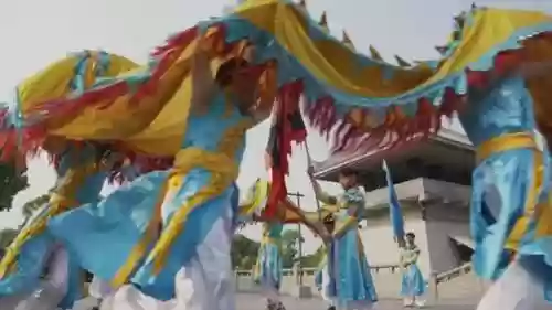 异界修真狴犴龙舞阵容攻略(魔灵召唤异界突袭阵容)插图10
