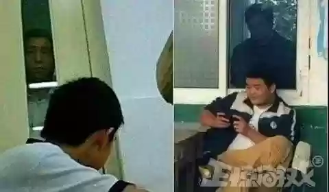 植物大战僵尸无限内购版(无限内购版免费充钱)插图1