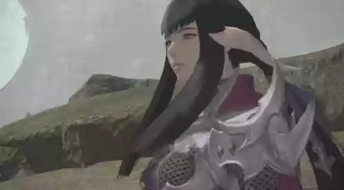 ff14种族介绍图(ff14六大种族属性差异)插图8