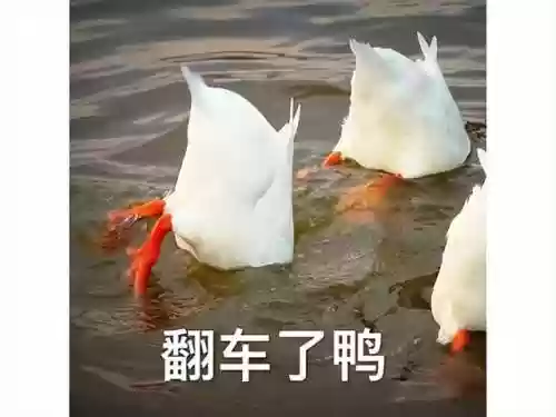 全民飞机大战还能玩吗(全民飞机大战最新版本下载2024)插图38