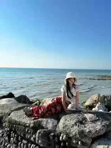 海鸥花园阵容(东港海鸥花园批八字)插图13